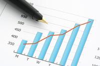 Wheeler Branch Bookkeeping Services - Profit & Loss Statements